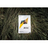 Arco Summer Spots